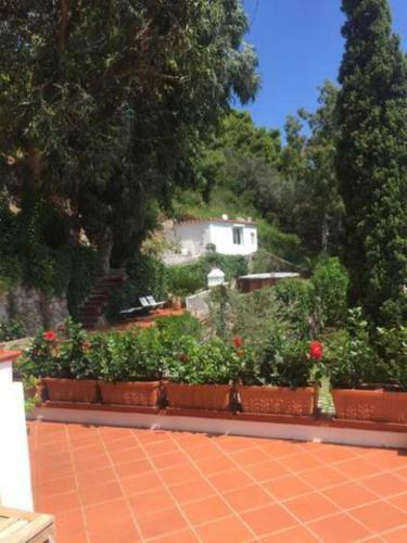 Capri Paradise Villa