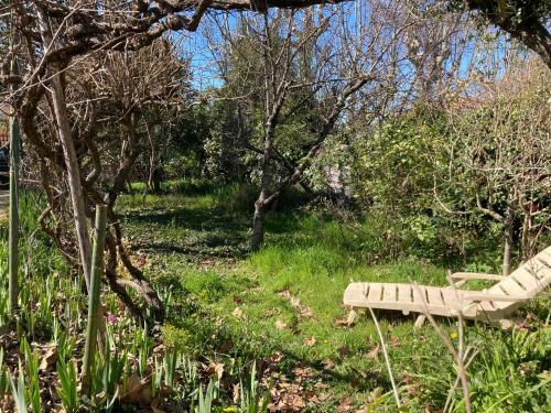 Apartamento Joli T3 Et Son Jardin Fleuri