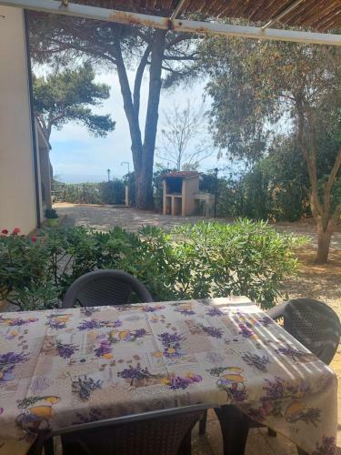 Villa Moira
