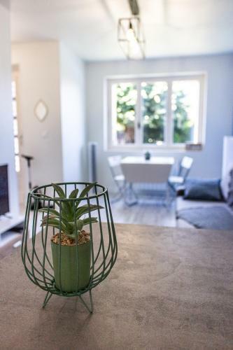 Apartamento Maisonnette Avec Jardin, Parc Du Ch�ne (Tram T5)