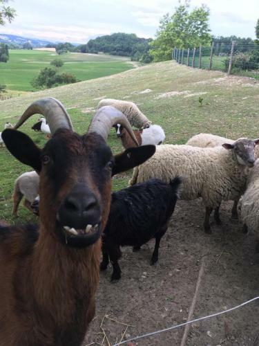 G�tes Du Cheval Blanc