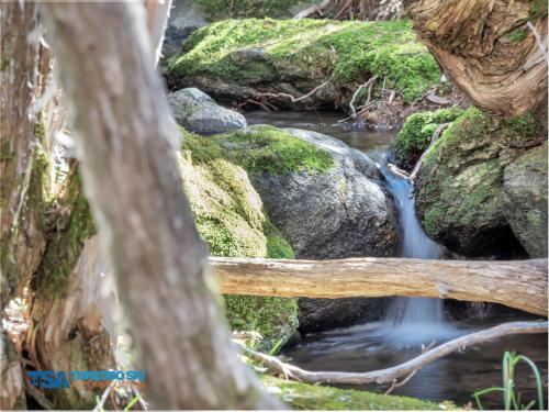 Ramshead Creek 1
