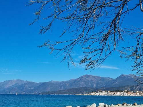 Apartamento Location Corse