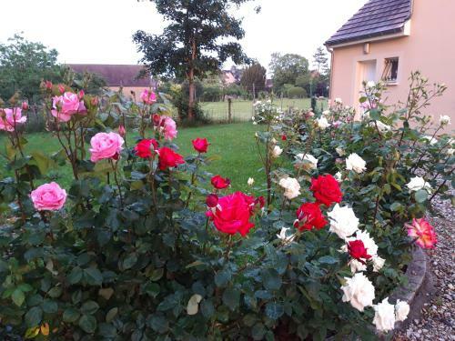 Le Clos Des Roses