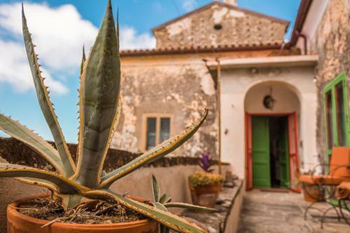 Bed & Breakfast Palazzo Pascale