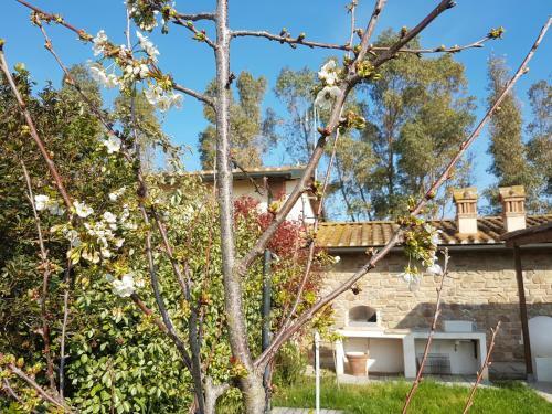 Villino Il Paduletto