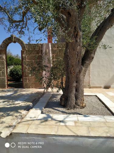 Bed & Breakfast Casina Rossa Di Pietrafitta