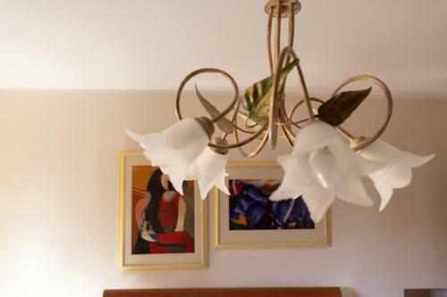 Bed & Breakfast Villa Annamaria
