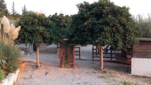 "san Placido Green House" Villa Con Piscina