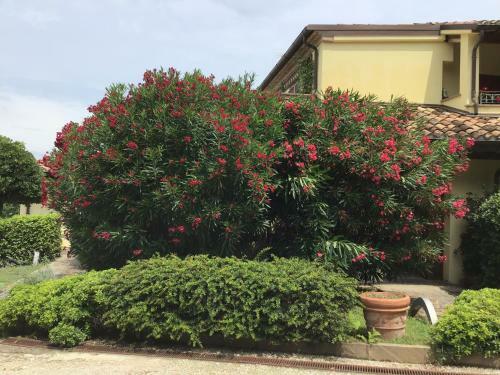 Apartamento Residence Baia Vallugola
