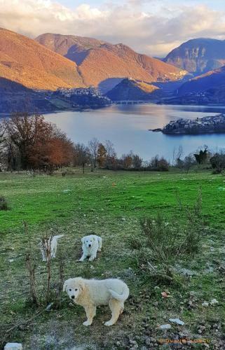 La Terrazza Sul Lago