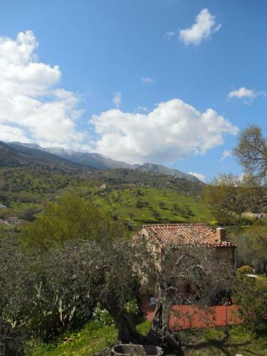 Apartamento Place In Paradise