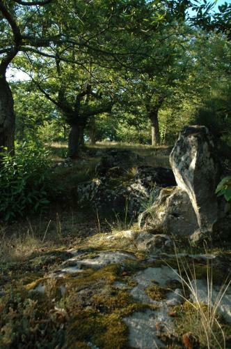 Apartamento Marron Bono
