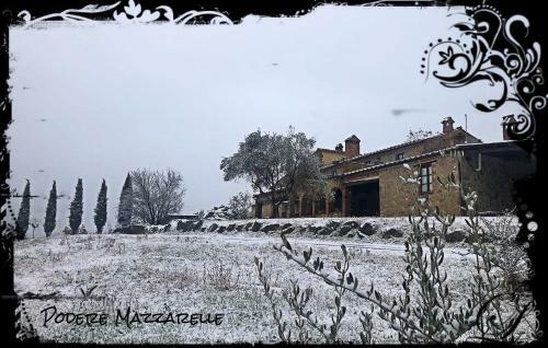 Podere Mazzarelle