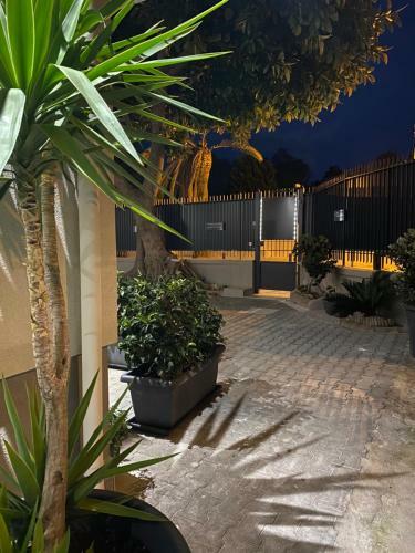 Hostal Solus B&B