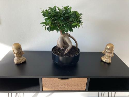 G�te La Perri�re Zen