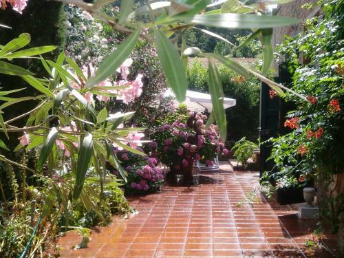 Apartamento Mulino Rotone