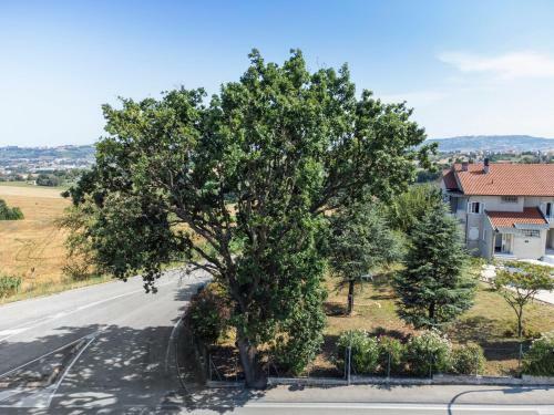 Bed & Breakfast Oak Tree 114 Bnb