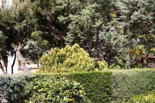 Bed & Breakfast L' Albero Di Giada