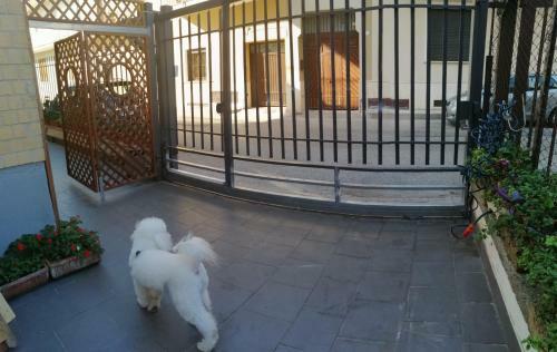 Apartamento Apt. Re Nasone