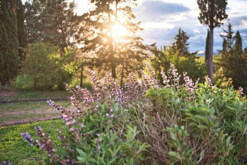 Apartamento Holiday Home In Tuscany