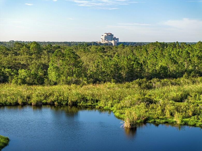 Hotel Omni Orlando Resort At Championsgate