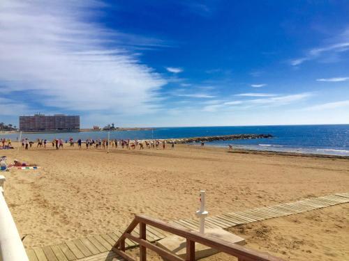 Holiday Apartments In Torrevieja Town