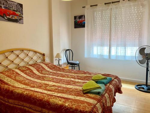 Holiday Apartments In Torrevieja Town
