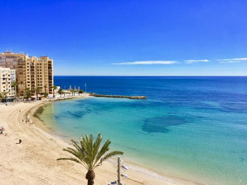 Holiday Apartments In Torrevieja Town