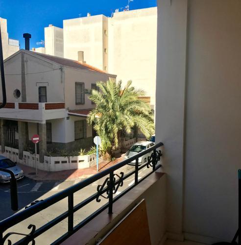 Holiday Apartments In Torrevieja Town