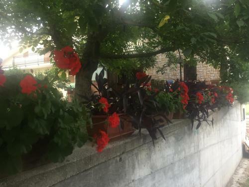Apartamento I Tre Noci