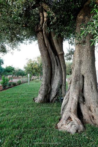 Villa Residenza Lippolis