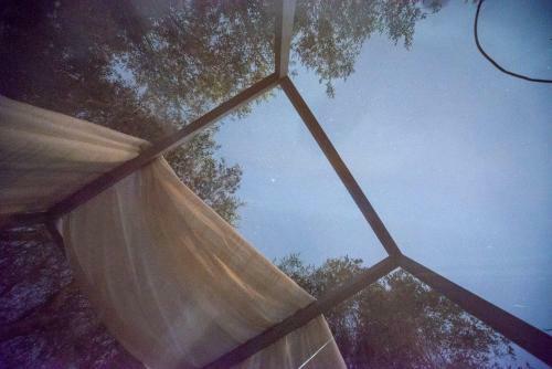 Bubble Room Suite