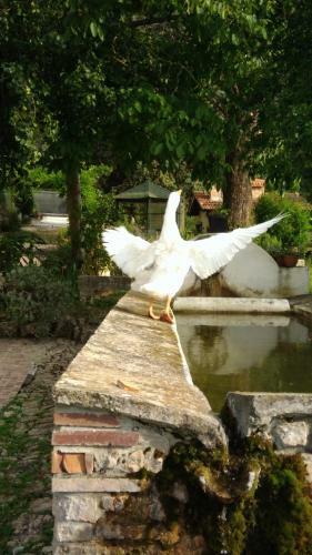 Casale Delle Ginestre.