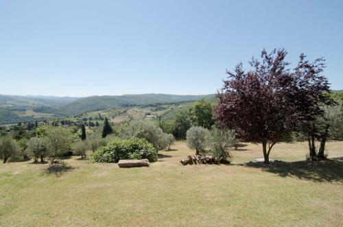 Casa Degli Ulivi - Cottage With Swimming Pool