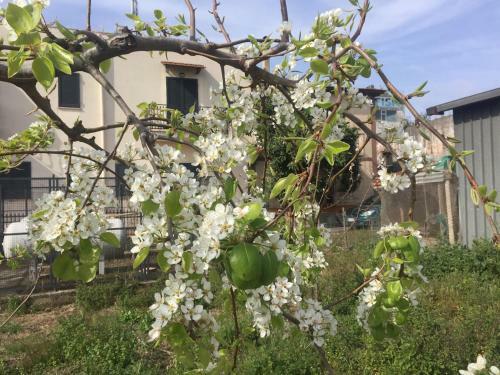 Bed & Breakfast Il Giardino Di Nonno Agostino