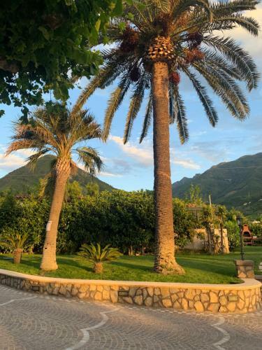 Bed & Breakfast Villa Lucia