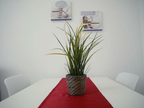 Denza Apartments