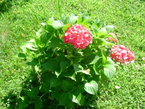 Apartamento Giardino Dei Fiori