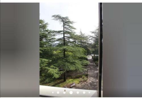 Apartamento La Casetta Sul Piazzone