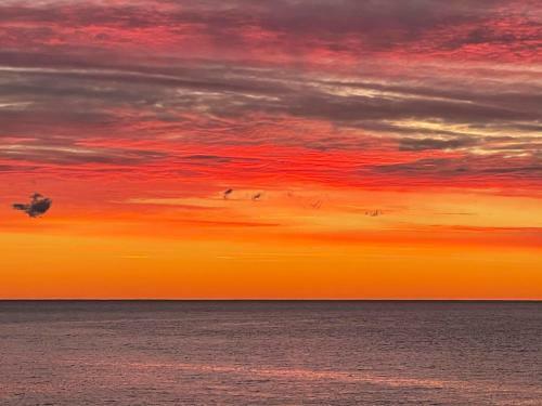 Apartamento P�pite Au Cap N�r�e