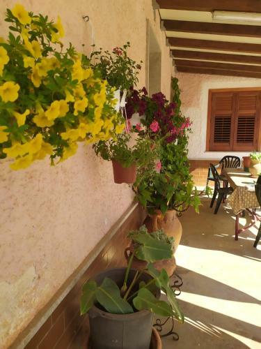 Apartamento Camera Ulivo - Castelluzzo