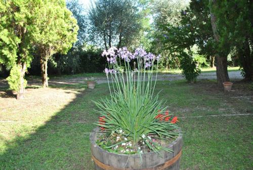 Agroturismo Agriturismo La Nicchia