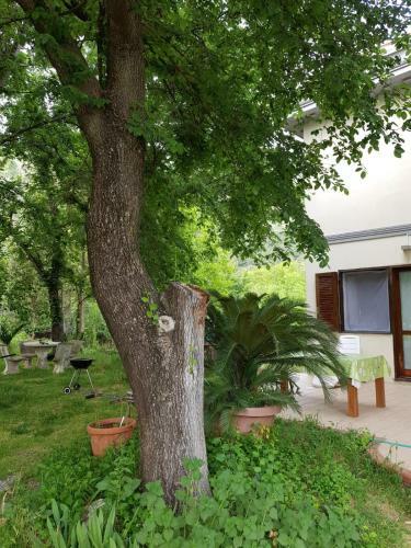 Apartamento Holiday House