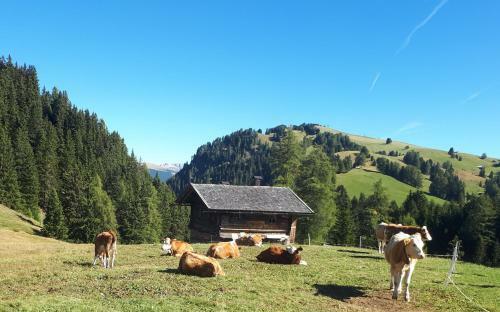 Agroturismo Kompatscherhof