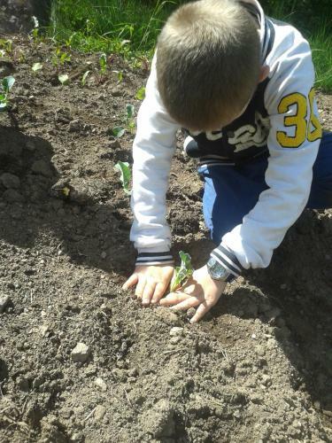 Agroturismo Kompatscherhof