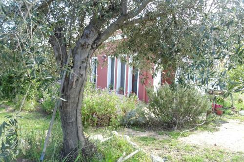 B&B Casa Per Ferie Villaggiocarovana