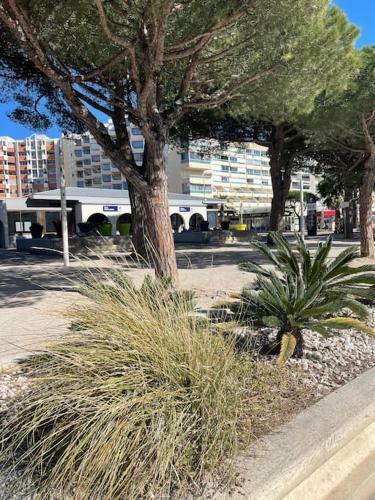 Apartamento Studio Boh�me Avec Vue Sur �tang � Carnon Plage
