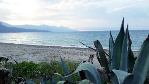 Il Canto Del Mare