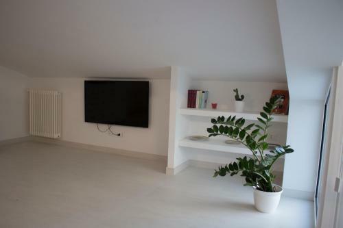 Apartamento Duchessa House